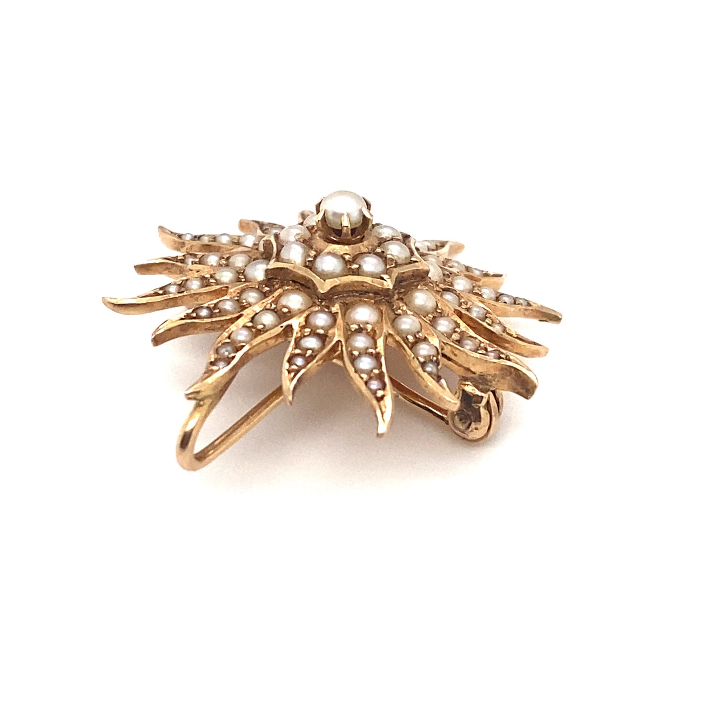 Circa 1890s Birks London Canada Sunburst Seed Pearl Brooch in 15K Gold