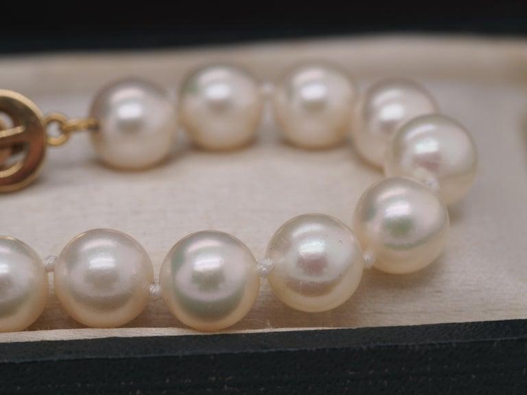 18K MIKIMOTO Yellow Gold Pearl Bracelet with Ribbon Clasp - VHK#7
