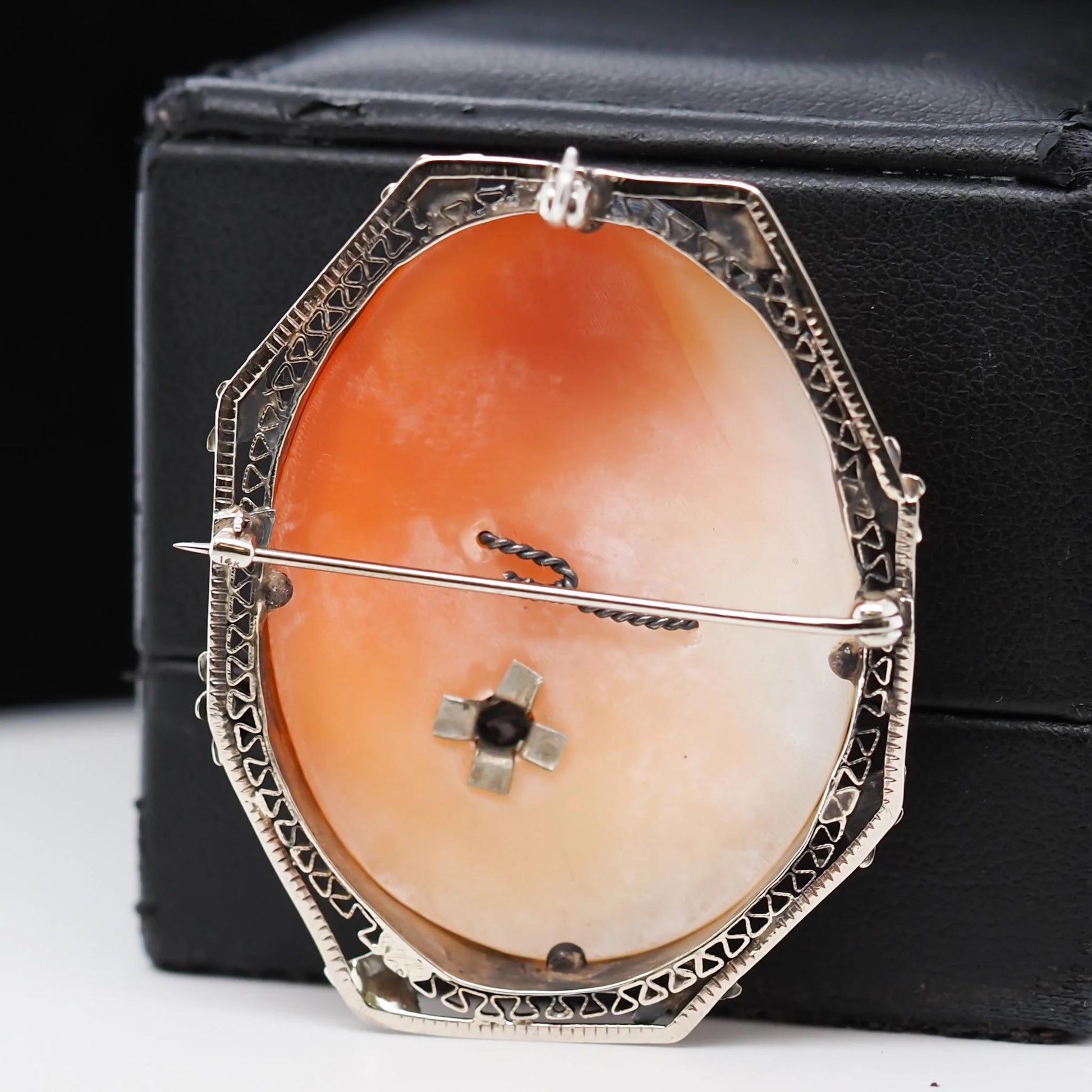 14K White Gold Cameo Brooch Pin with .20ct Fancy Brown Old Miner in Necklace