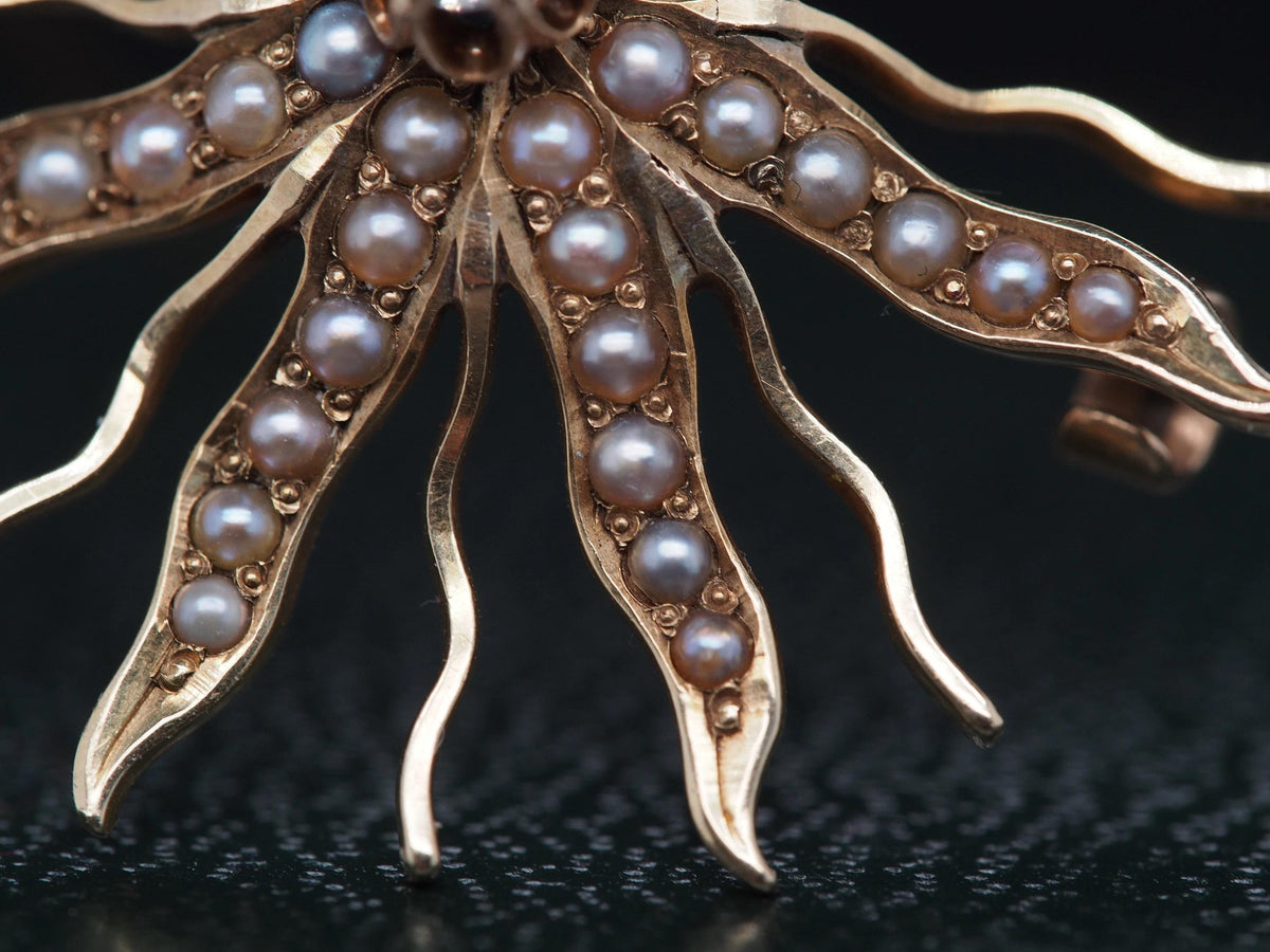 1900s Edwardian Flower Brooch with Pearls and Old Mine Diamond - VHK#201