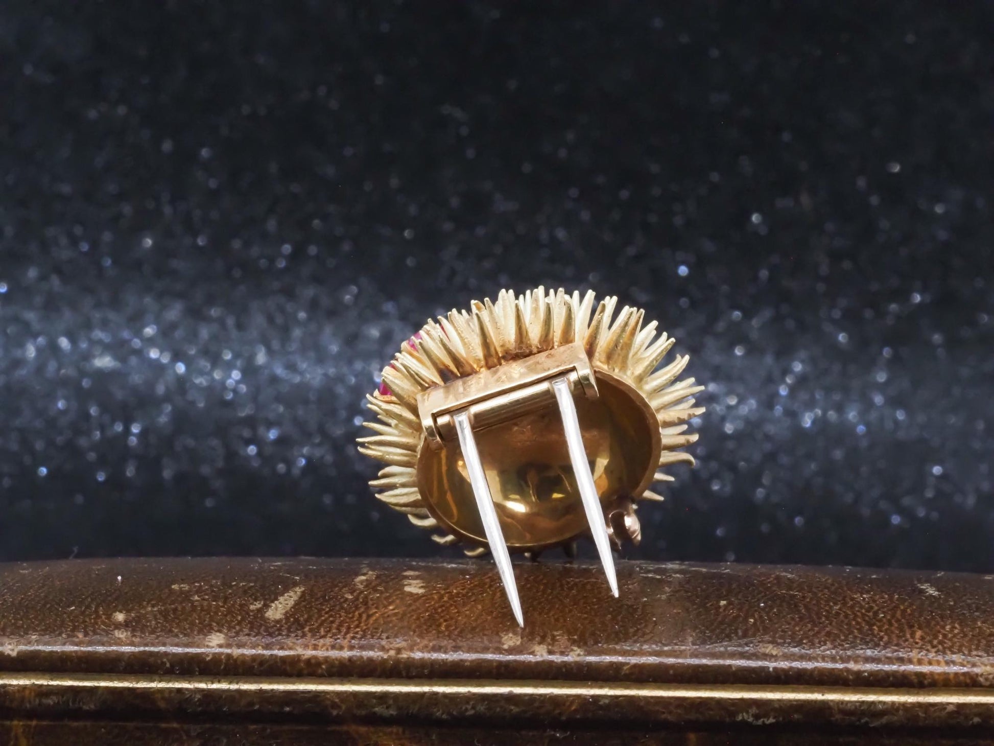 Estate Vintage Tiffany & Co. Sea Urchin Brooch with Ruby and Diamond - VHK#821