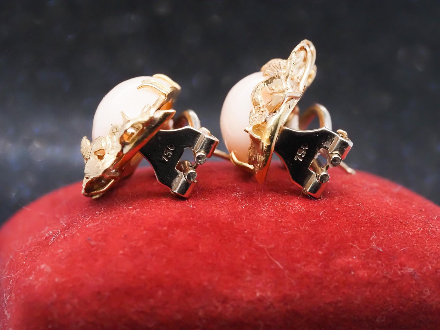 Estate 18K Yellow Gold Angel Skin Coral Earrings - VHK#349B