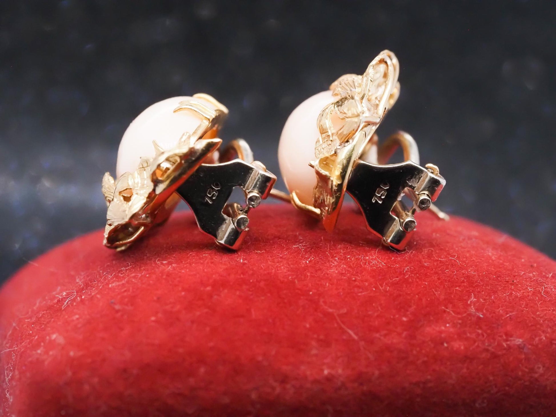 Estate 18K Yellow Gold Angel Skin Coral Earrings - VHK#349B
