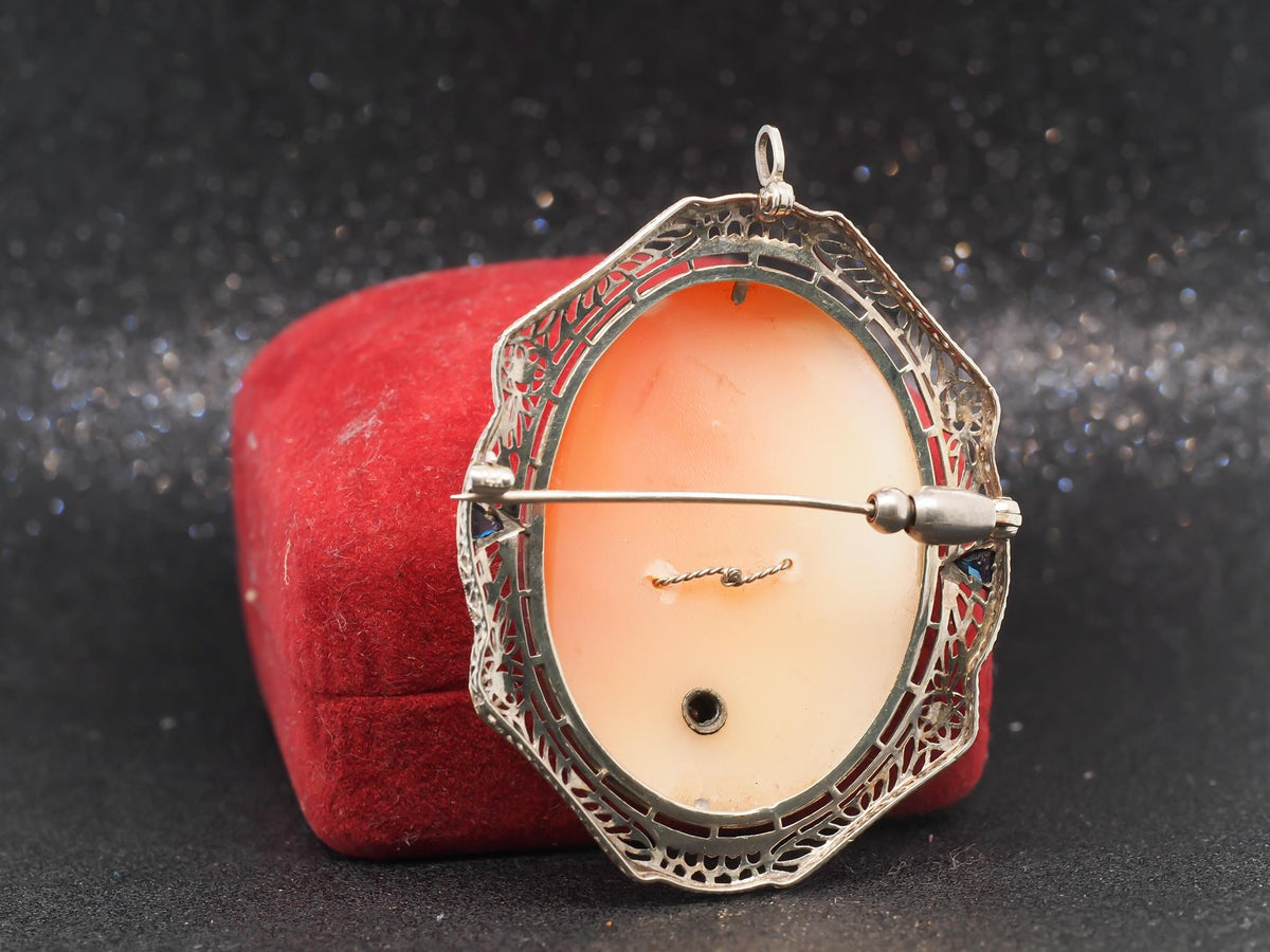 14K White Gold, Sapphire and Diamond, Cameo Brooch & Pendant - VHK#2