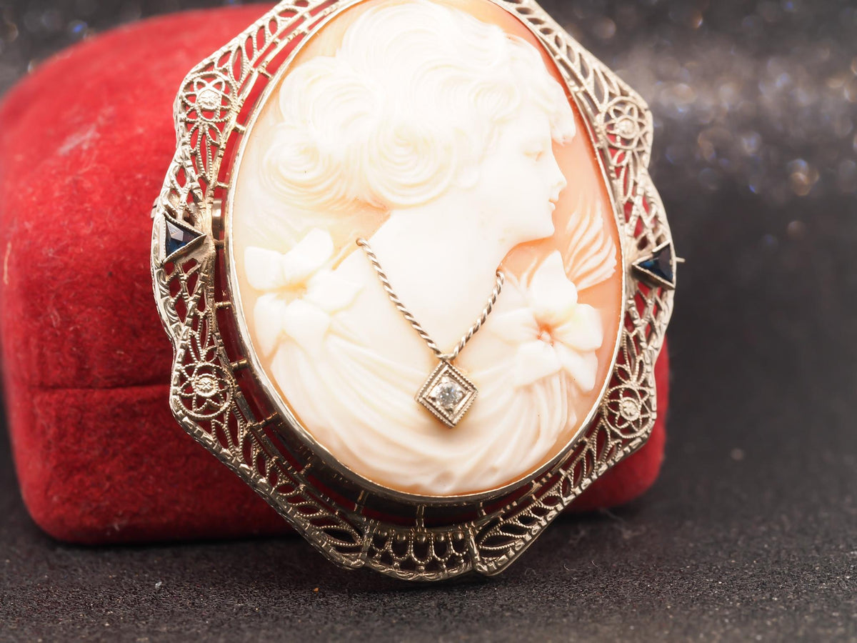 14K White Gold, Sapphire and Diamond, Cameo Brooch & Pendant - VHK#2