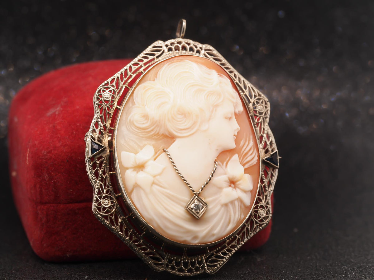 14K White Gold, Sapphire and Diamond, Cameo Brooch & Pendant - VHK#2