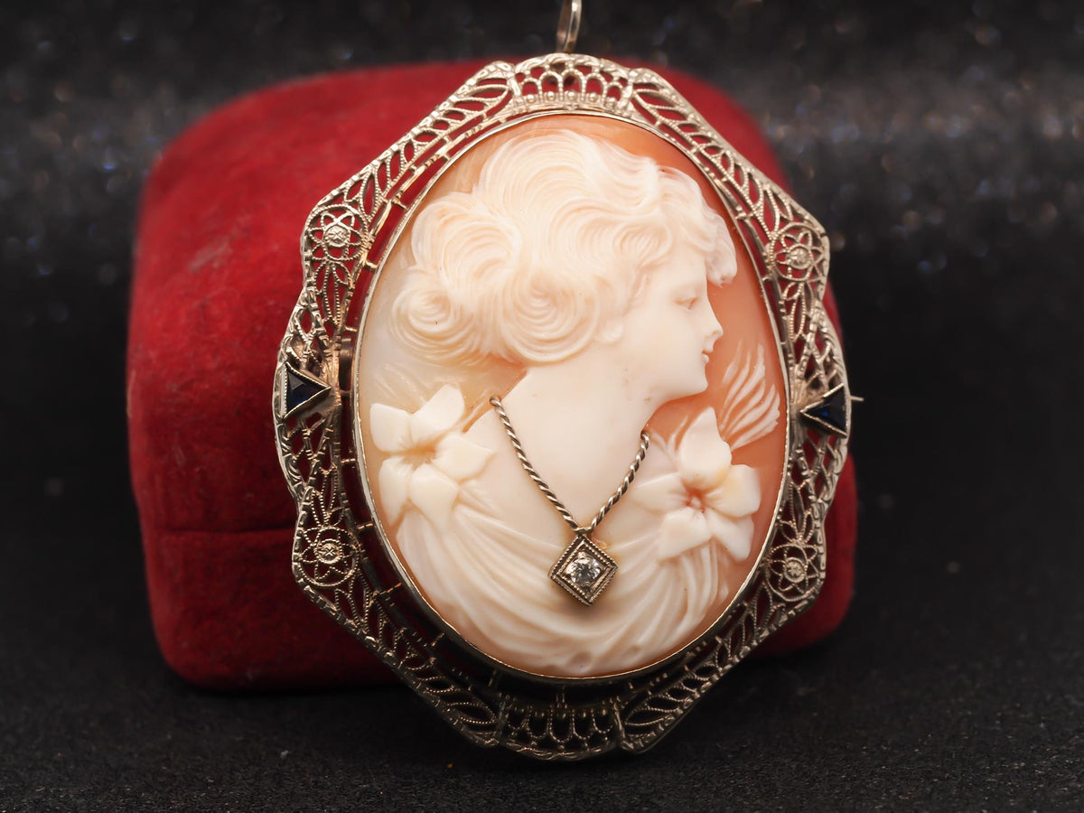 14K White Gold, Sapphire and Diamond, Cameo Brooch & Pendant - VHK#2