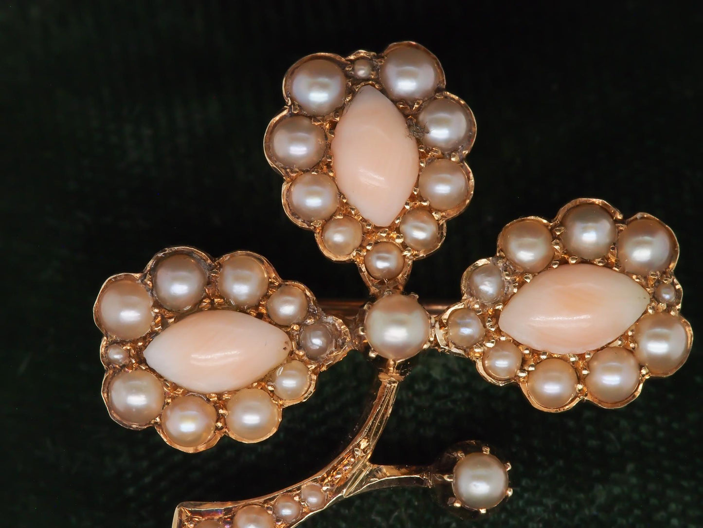 1930s Art Deco Coral and Pearl Brooch Pin - VHK#102