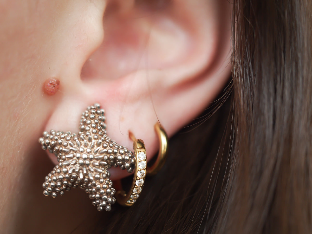 Sterling Silver Tiffany & Co Starfish Clip Earrings - VHK#245