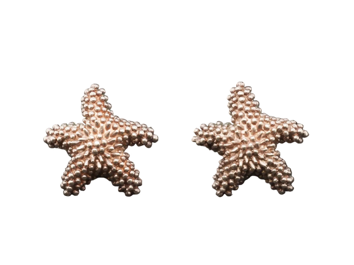 Sterling Silver Tiffany & Co Starfish Clip Earrings - VHK#245